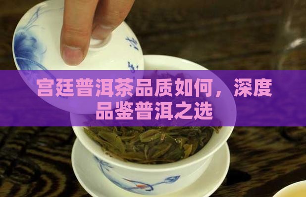 宫廷普洱茶品质如何，深度品鉴普洱之选