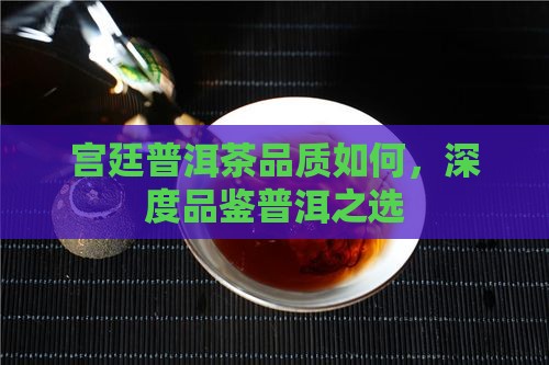 宫廷普洱茶品质如何，深度品鉴普洱之选