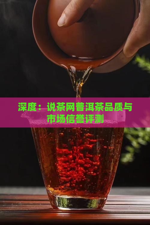 深度：说茶网普洱茶品质与市场信誉评测