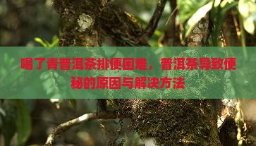 喝了青普洱茶排便困难，普洱茶导致便秘的原因与解决方法