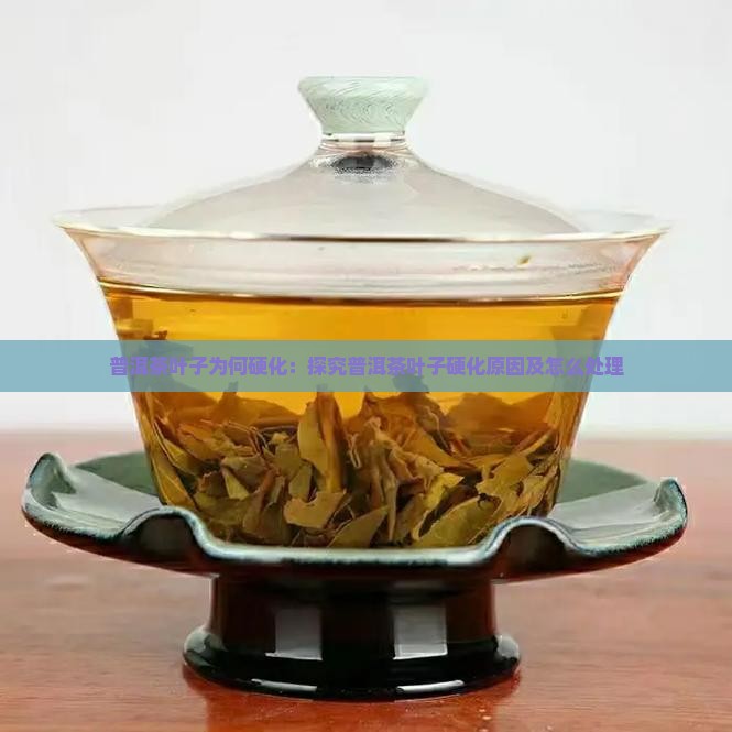 普洱茶叶子为何硬化：探究普洱茶叶子硬化原因及怎么处理