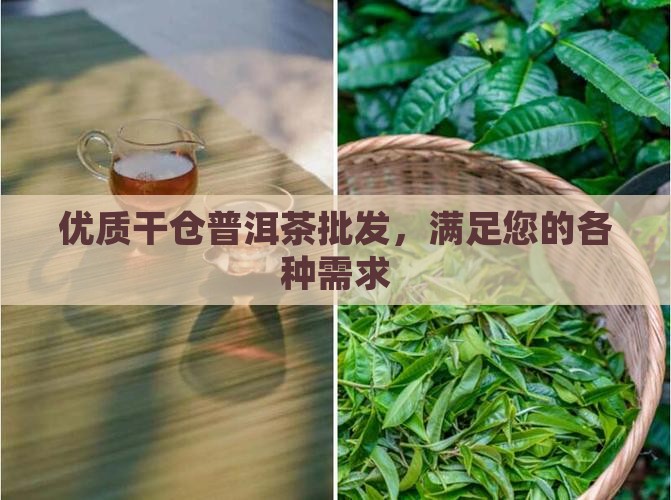 优质干仓普洱茶批发，满足您的各种需求