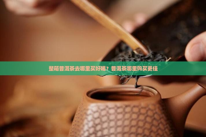 整箱普洱茶去哪里买好喝？普洱茶哪里购买更佳