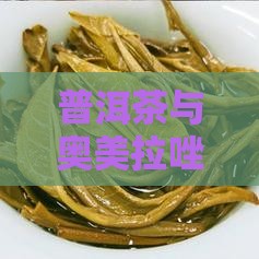 普洱茶与奥美拉唑、奥美联合作用的探究