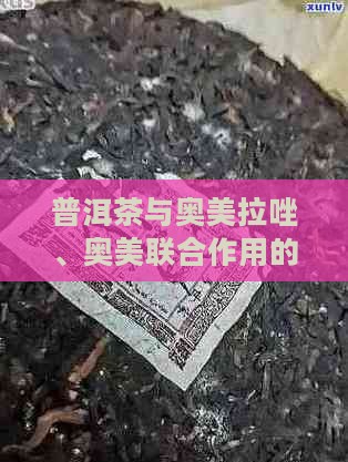 普洱茶与奥美拉唑、奥美联合作用的探究