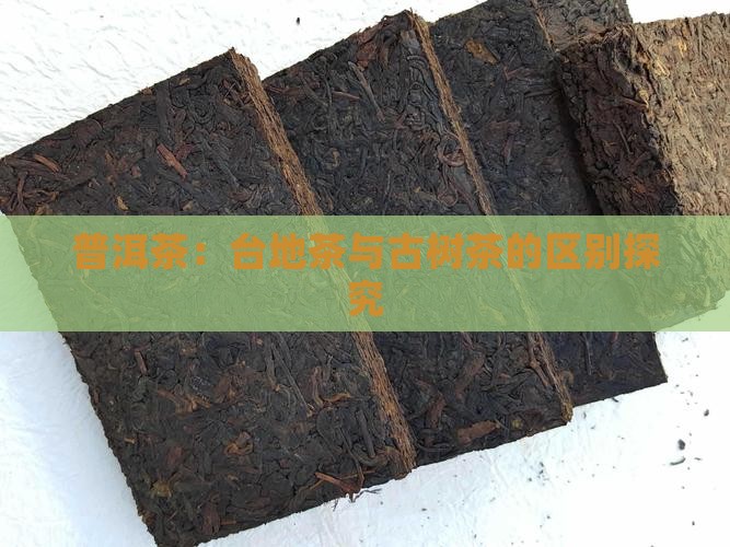 普洱茶：台地茶与古树茶的区别探究