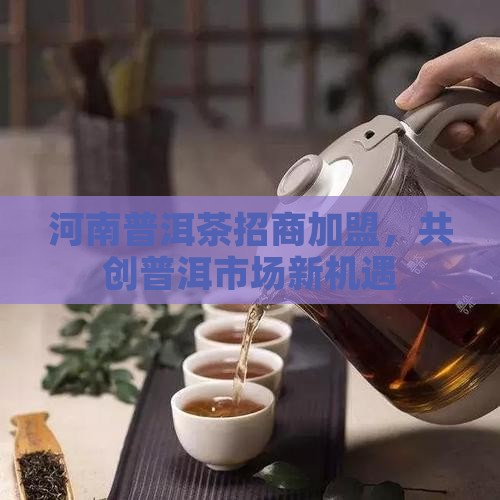 河南普洱茶招商加盟，共创普洱市场新机遇