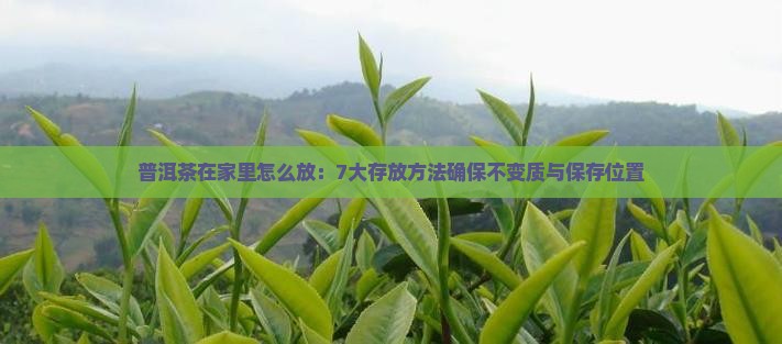普洱茶在家里怎么放：7大存放方法确保不变质与保存位置