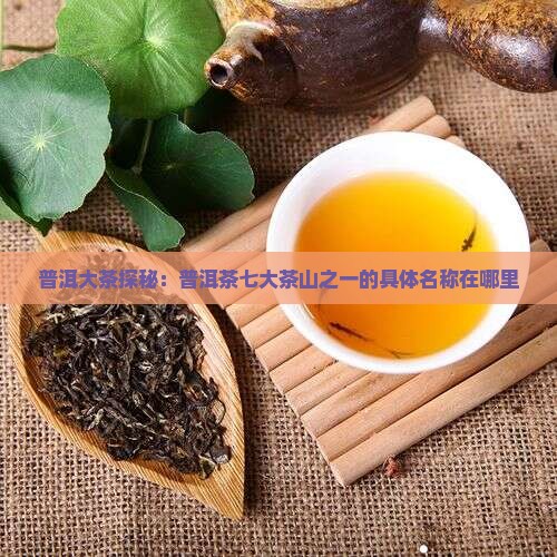 普洱大茶探秘：普洱茶七大茶山之一的具体名称在哪里