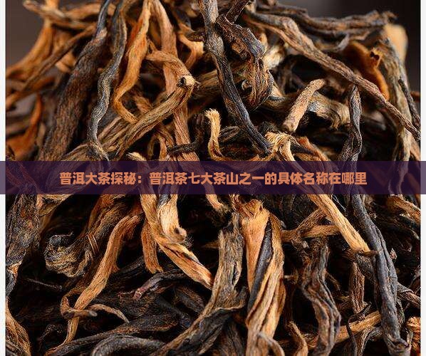 普洱大茶探秘：普洱茶七大茶山之一的具体名称在哪里