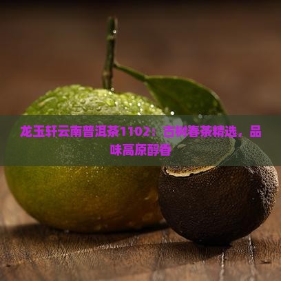 龙玉轩云南普洱茶1102：古树春茶精选，品味高原醇香