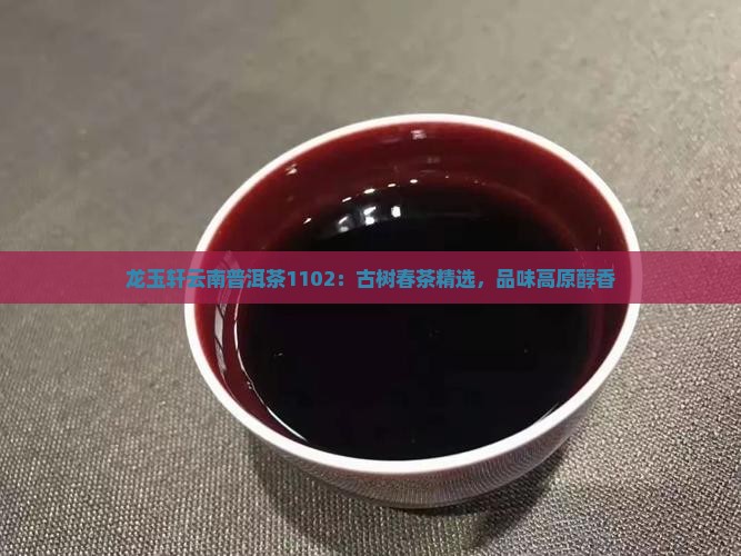龙玉轩云南普洱茶1102：古树春茶精选，品味高原醇香