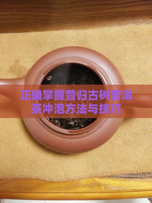 正确掌握昔归古树普洱茶冲泡方法与技巧
