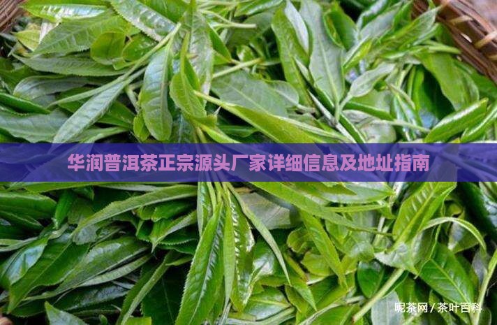 华润普洱茶正宗源头厂家详细信息及地址指南