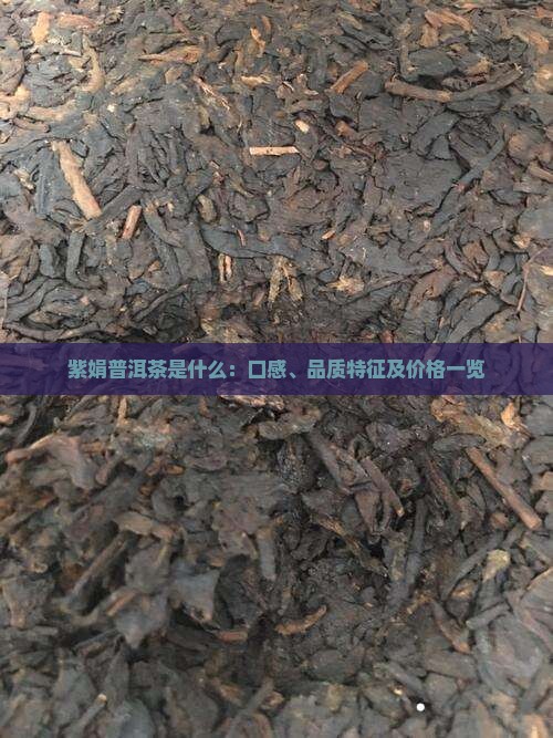 紫娟普洱茶是什么：口感、品质特征及价格一览