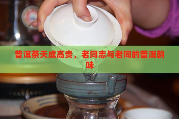 普洱茶天成高贵，老同志与老同的普洱韵味
