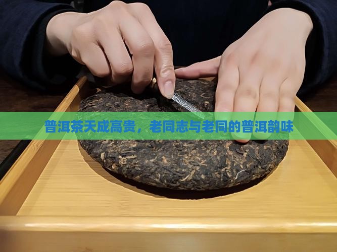 普洱茶天成高贵，老同志与老同的普洱韵味