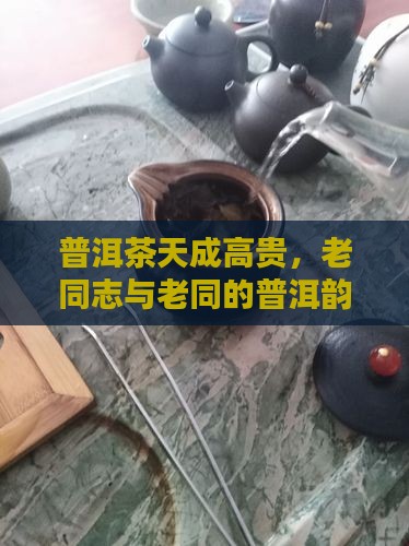 普洱茶天成高贵，老同志与老同的普洱韵味
