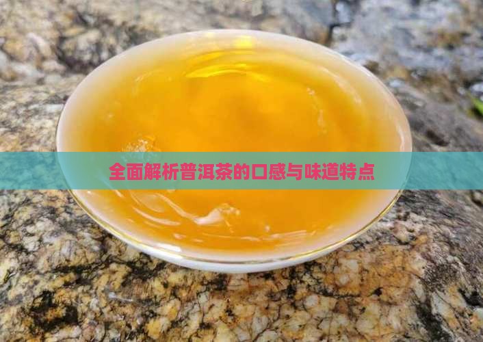 全面解析普洱茶的口感与味道特点