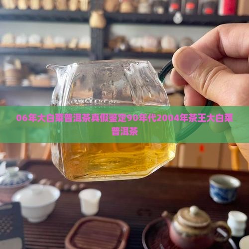06年大白菜普洱茶真假鉴定90年代2004年茶王大白菜普洱茶