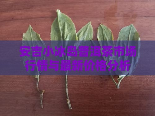 安吉小冰岛普洱茶市场行情与最新价格分析