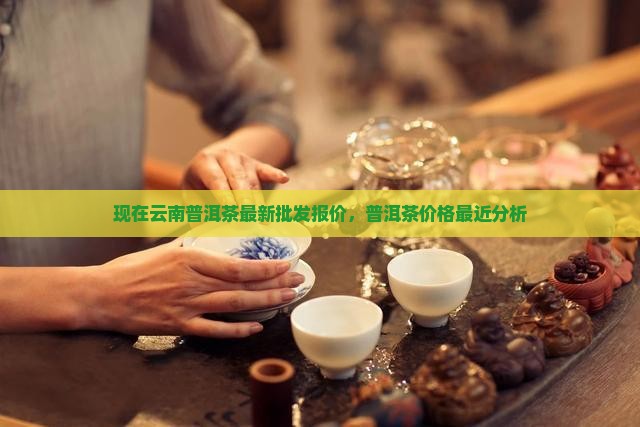 现在云南普洱茶最新批发报价，普洱茶价格最近分析