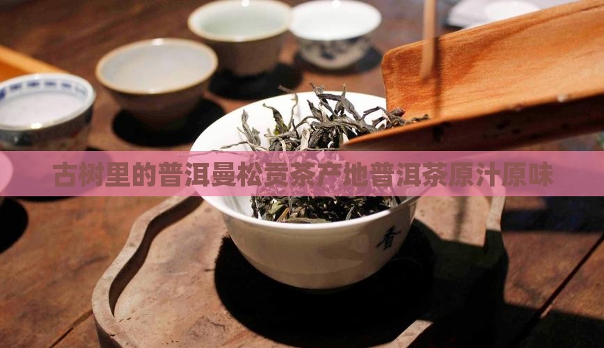 古树里的普洱曼松贡茶产地普洱茶原汁原味