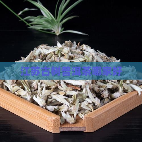 江苏古树普洱茶哪家好