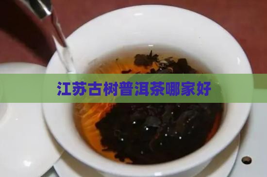 江苏古树普洱茶哪家好