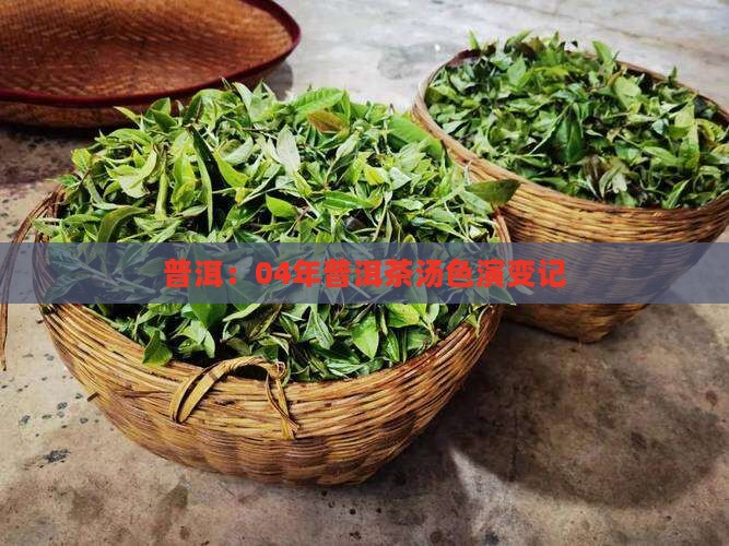 普洱：04年普洱茶汤色演变记