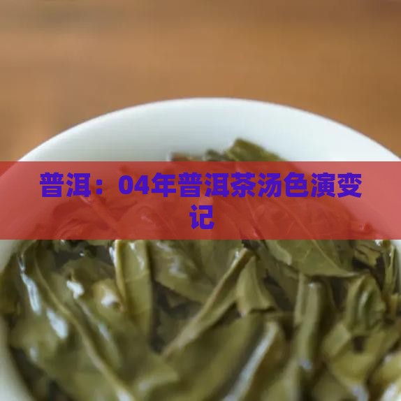 普洱：04年普洱茶汤色演变记