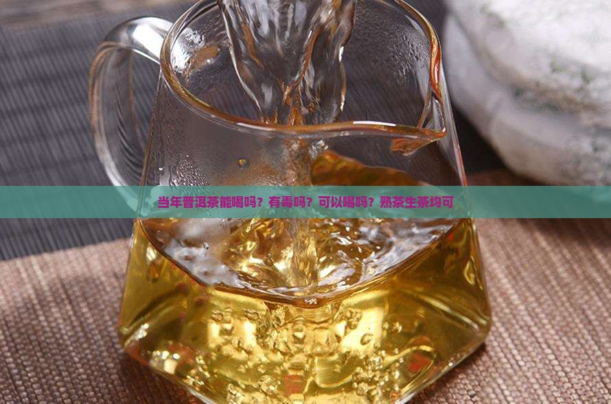 当年普洱茶能喝吗？有毒吗？可以喝吗？熟茶生茶均可