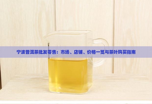 宁波普洱茶批发零售：市场、店铺、价格一览与茶叶购买指南