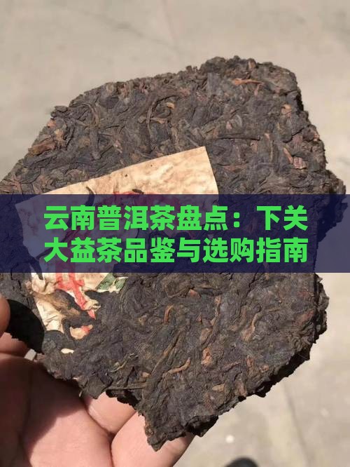 云南普洱茶盘点：下关大益茶品鉴与选购指南