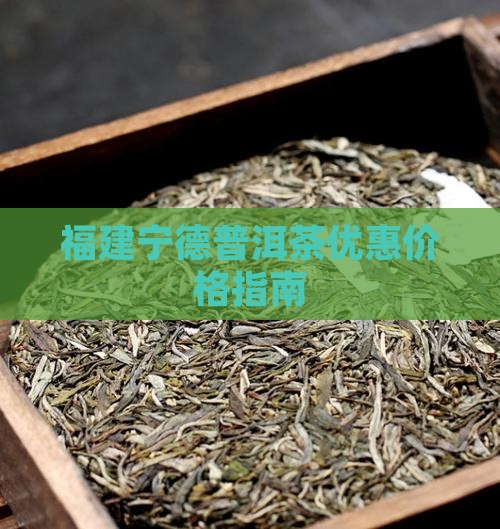福建宁德普洱茶优惠价格指南