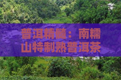 普洱精髓：南糯山特制熟普洱茶