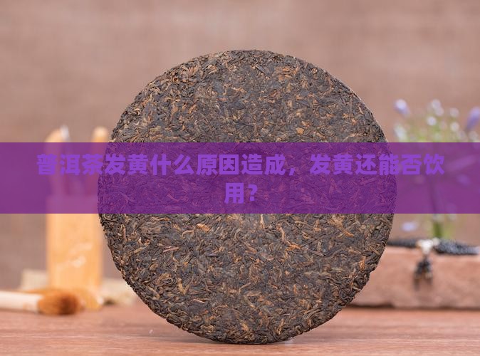 普洱茶发黄什么原因造成，发黄还能否饮用？