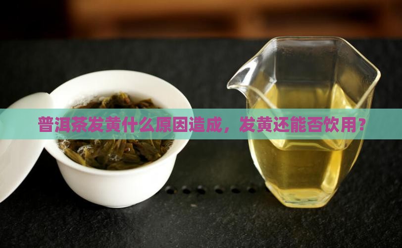 普洱茶发黄什么原因造成，发黄还能否饮用？