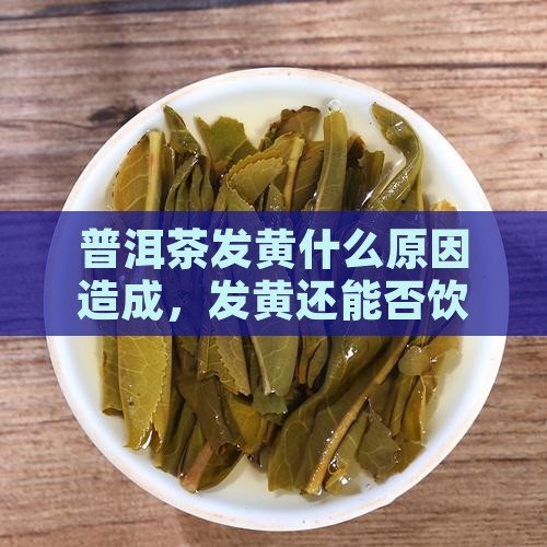 普洱茶发黄什么原因造成，发黄还能否饮用？