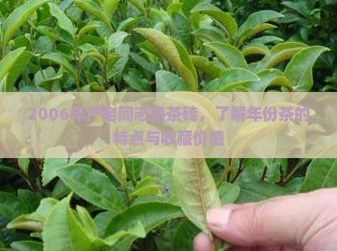 2006年产老同志熟茶砖，了解年份茶的特点与收藏价值
