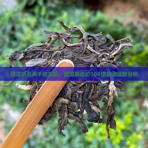 普洱茶涨两千倍真假：普洱茶涨价100倍暴涨涨跌分析