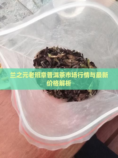 兰之元老班章普洱茶市场行情与最新价格解析