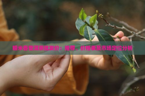 糯米香普洱茶批发价：推荐、价格表及市场定位分析