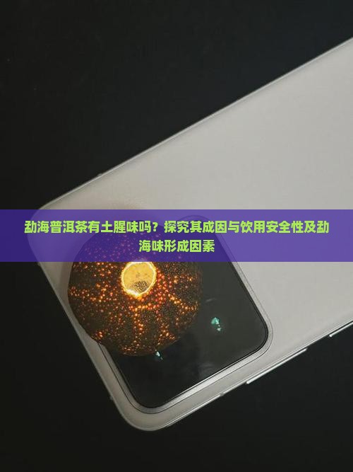 勐海普洱茶有土腥味吗？探究其成因与饮用安全性及勐海味形成因素