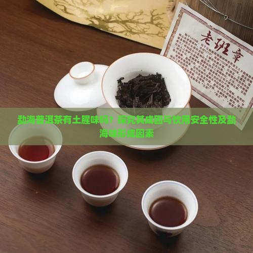 勐海普洱茶有土腥味吗？探究其成因与饮用安全性及勐海味形成因素