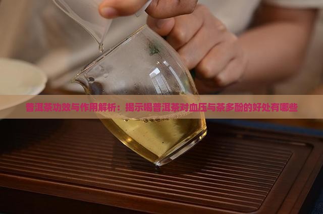 普洱茶功效与作用解析：揭示喝普洱茶对血压与茶多酚的好处有哪些