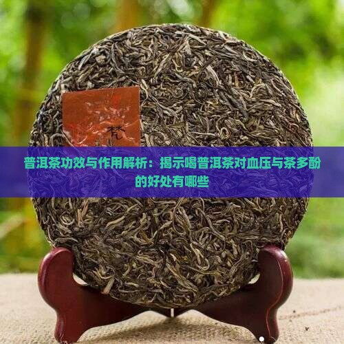 普洱茶功效与作用解析：揭示喝普洱茶对血压与茶多酚的好处有哪些
