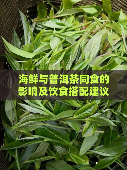 海鲜与普洱茶同食的影响及饮食搭配建议