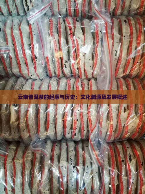 云南普洱茶的起源与历史：文化渊源及发展概述