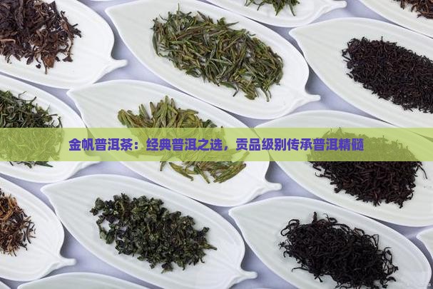 金帆普洱茶：经典普洱之选，贡品级别传承普洱精髓